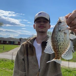 Meet your Posher, Matthew